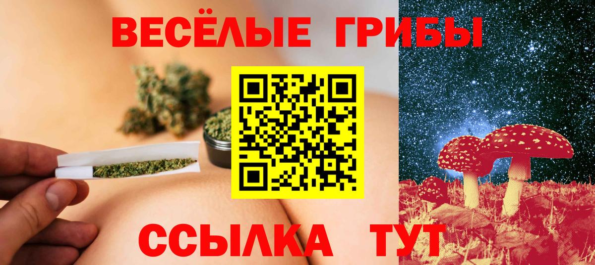 Псилоцибиновые грибы ЛСД  Вход с VPN  купить наркотики сайты  Красноярск 